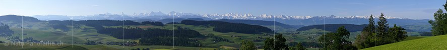 P002209: Panoramabild Hügellandschaft vor Alpenkette