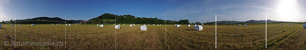 P002242: Panorama Landwirtschaft