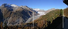 P002657: Panoramabild Aletschwald