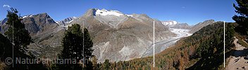 P002672: Panorama Aletschwald