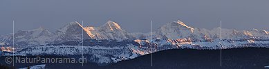 P003012: Panoramabild Eiger, Mönch und Jungfrau im Abendlicht