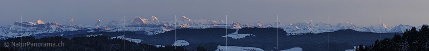 P003013: Panoramabild Abendlicht auf Alpenkette