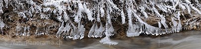 P003033: Panoramabild Raureif, Eisgebilde (Eisbirne) und Wasser