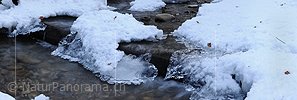 P003071: Panoramabild Eisgebilde in Bach