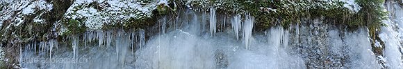 P003080: Panorama Eiszapfen und Moos