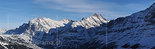 P003139: Panoramabild Wetterhorn und Schreckhorn