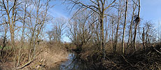 P003285: Panorama Auenlandschaft