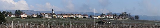 P003313: Panoramabild Winzerdorf