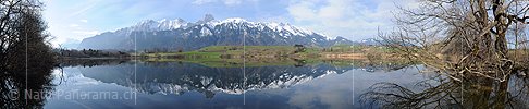 P003326: Panoramabild Spiegelung mit Morgenstimmung