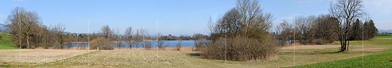 P003328: Panoramabild Riedlandschaft