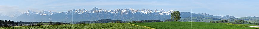 P003471a: Panoramafoto Frühlingslandschaft mit Stockhornkette