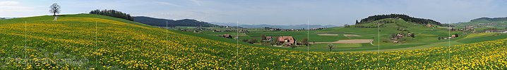 P003484: Large panoramic spring landscape