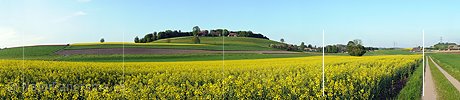 P003492: Grosspanorama Rapsfelder