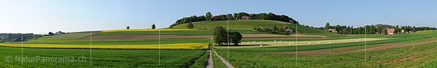 P003501: Grosspanorama Kulturlandschaft