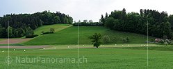 P003581: Panoramic image Spring landscape