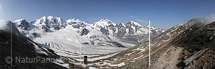 P003741: Panoramabild Piz Palü und Piz Bernina