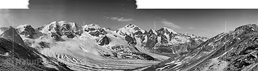 P003742f: Panoramafoto Piz Palü - Piz Bernina - Piz Morteratsch (Berninagruppe)