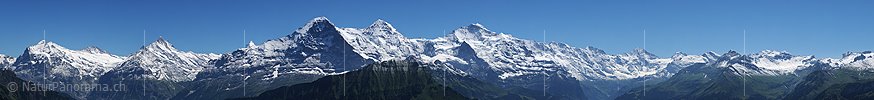 P003892: Grosspanoramabild Dreigestirn und Berner Alpen von der Schynige Platte