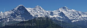 P003892c: Grossfoto Eiger, Mönch und Jungfrau von der Schynige Platte