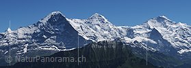 P003892f: Panoramafoto Das Dreigestirn Eiger, Mönch und Jungfrau
