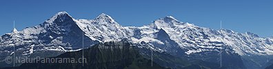 P003892g: Grosspanorama Eiger, Mönch und Jungfrau und Co. von der Schynige Platte