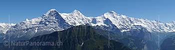 P003898a: Grosspanorama Eiger, Mönch und Jungfrau