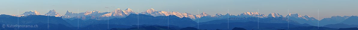 P004001: Panoramabild Alpenkette im Abendlicht