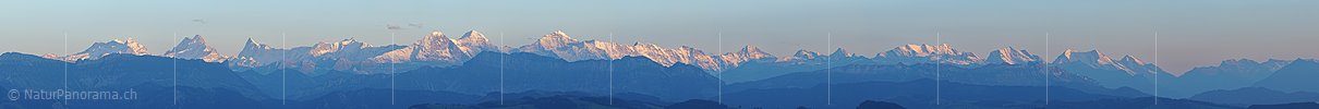 P004001c: Panoramabild Alpenkette im Abendlicht