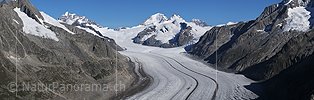 P004024: Grosspanorama Grosser Aletschgletscher