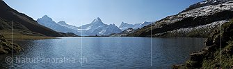 P004134: Panoramabild Bachalpsee (Rauhe Seeoberfläche)