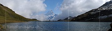 P004146: Panoramabild Bachalpsee und Schreckhorn