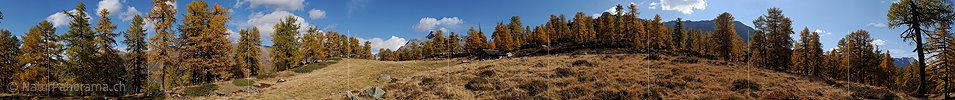 P004261: Grosspanorama Alphütte in Lärchenwald