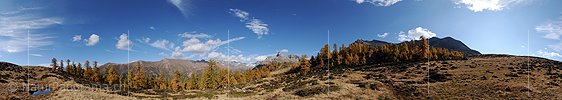 P004265: Panoramabild Goldene Lärchen