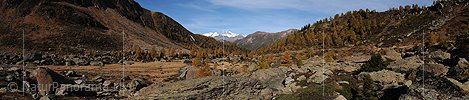 P004282: Grosspanoramabild Urtümliche Herbstlandschaft