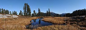 P004327: Grosspanoramabild Kleiner See in Moorlandschaft