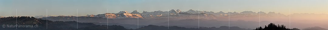 P004351: Grosspanorama Alpenkette im Abendlicht