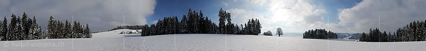 P004424: Panoramic picture winter scenery Emmental
