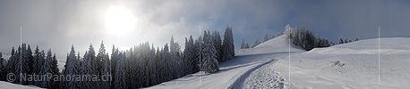 P004474: Panoramabild Nebelstimmung in Winterlandschaft