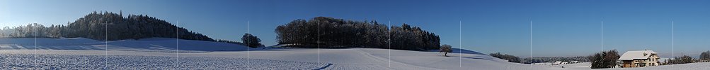 P004486: Large panoramic winter landscape with single tree and house