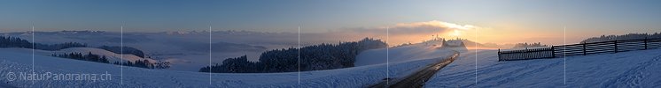 P004502: Panoramabild Winterliche Abendstimmung