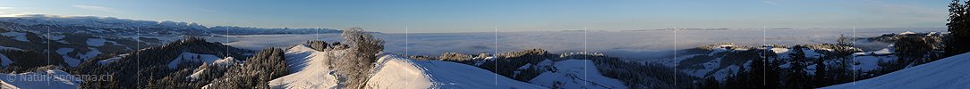 P004517: Grosspanoramabild Morgenstimmung mit Nebelmeer über dem Mittelland
