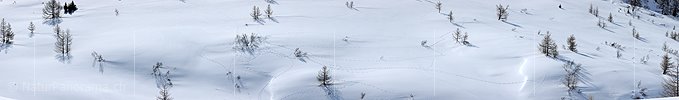 P004710: Panoramabild Paradies der Schneehasen