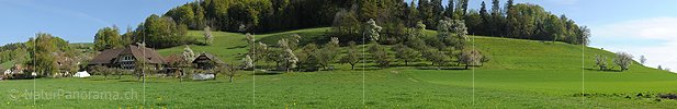 P004871: Hochauflösendes Panoramabild Emmentaler Bauernhof mit Obstgarten