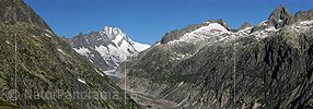 P005382: Panoramabild Lauteraarhorn und Schreckhorn