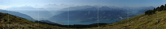 P005401: Hochauflösendes Panoramabild Thunerseeregion