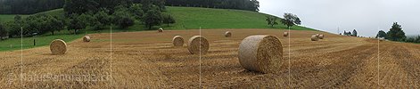 P005414: Panoramabild Runde Strohballen auf Feld
