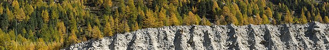 P005754: Panorama Seitenmoräne vor herbstlichem Lärchenwald