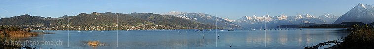 P005781: Panoramabild Herbstabend am Thunersee (Alpenrandsee)