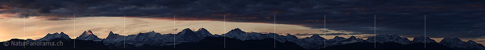 P005839: Panoramabild Morgenstimmung Berner Alpen