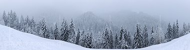 P005911: Panoramic picture snowfall